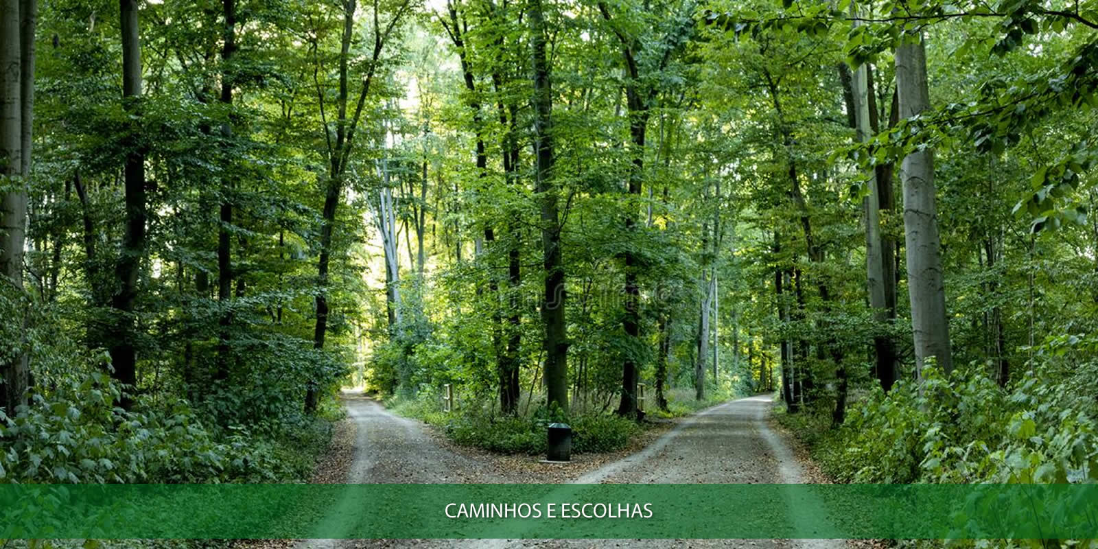 Figura 3 - SOLUÇÕES VENCEDORAS. ONDE AS EMPRESAS VENCEDORAS MIRAM PARA PROSPERAR